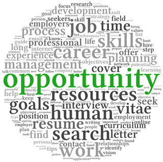 Opportunity and success concept in word tag cloud on white